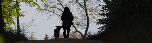 Pfotenpower.ch Startseite Hunde und Menschen willkommen