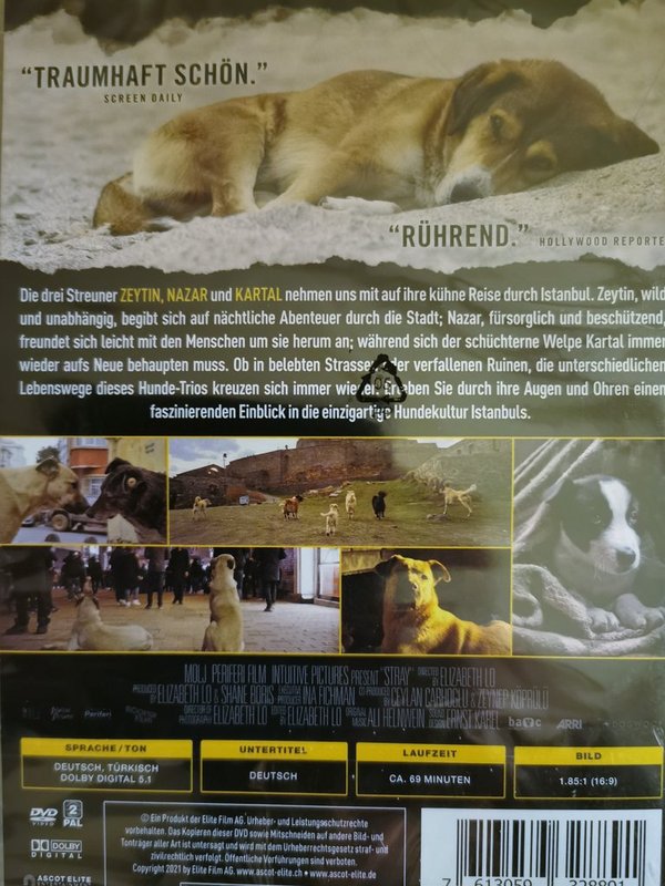 Streuner - Unterwegs mit Hundeaugen DVD